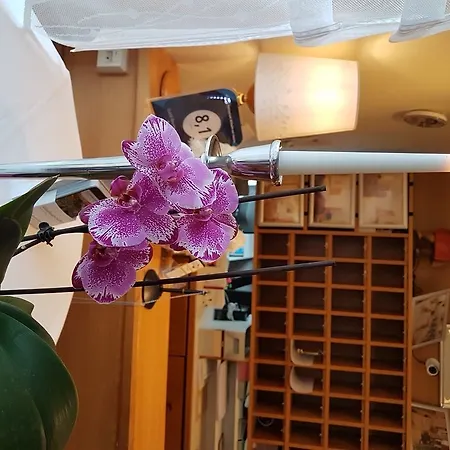 & Restaurant Wilhelm Von Nassau