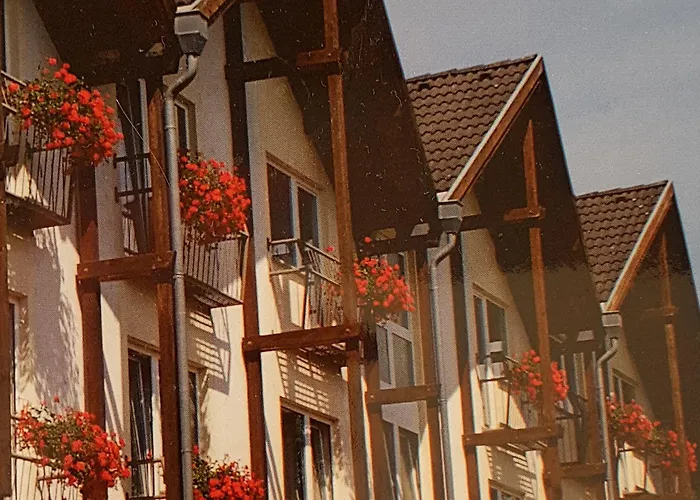 酒店 威廉·冯·拿骚酒店及餐厅 迭斯