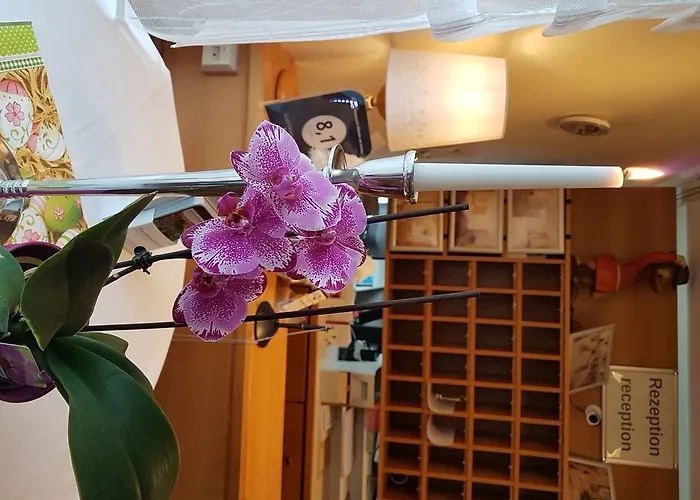 & Restaurant Wilhelm Von Nassau